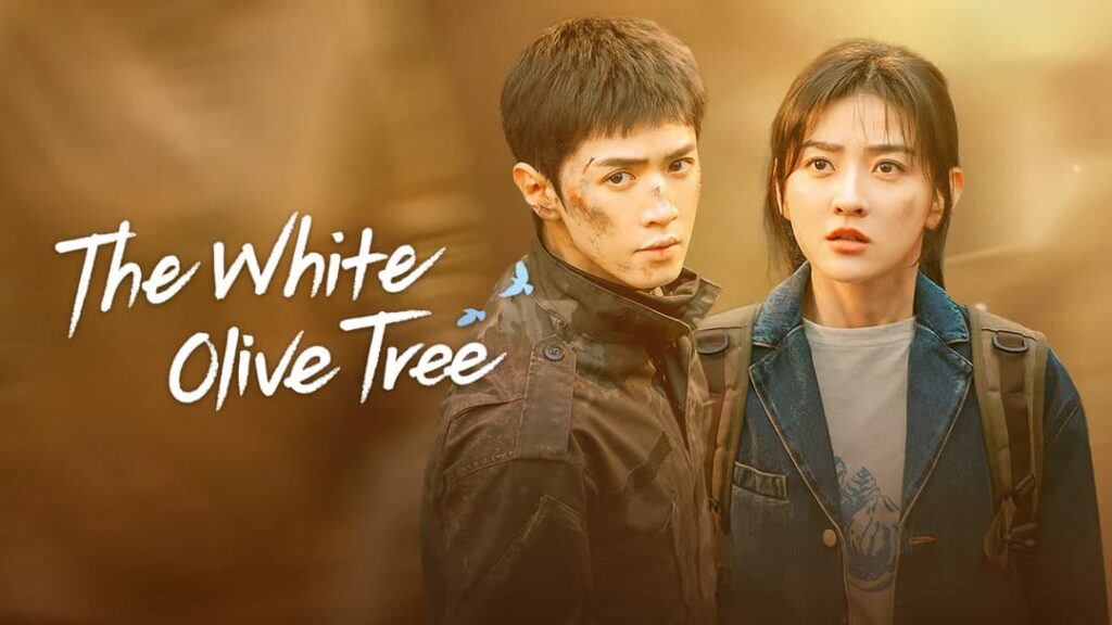 Cartaz de The White Olive Tree, um dos dramas com chen zheyuan