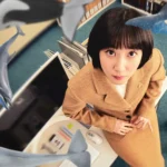 Imagem promocional de "Uma advogada extraordinária" um drama jurídico