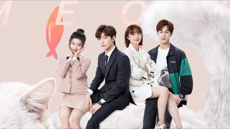Imagem promocional do drama Accidentally Meow on You