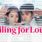 Imagem promocional do drama Filing for Love